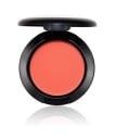 IMAGIC professionnelle blush 7