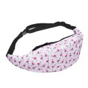 T816 fannypack för kvinnor 27