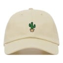Capac cu cactus 3