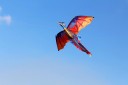 Flygande drake - 140 x 120 cm 3