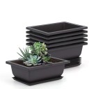 Bonsai skål och fat 10 st 2