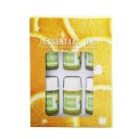 6 eteerisen öljyn setti 3 ml vesiliukoinen diffuusoriöljy aromaterapia ilmanraikastin rentoutumiseen luonnollinen tuoksu kotitalouskäyttöön 5