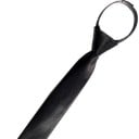 Pánská kravata T1210 1