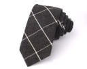 Pánská kravata T1264 1