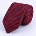 Pánská kravata T1269 20