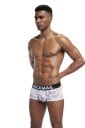 Boxer herr A13 11