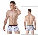 Boxer herr A14 4