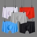 Boxer herr A2 6