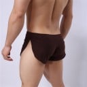 Boxer herr A2711 7