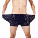 Boxer herr A3 4