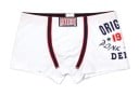 Herrboxer Lewis 1