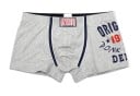 Herrboxer Lewis 4