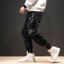 Pantalons pour hommes F1605 1