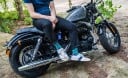 Herrensocken mit Zebramotiv 7
