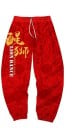 Pantalons de survêtement pour hommes F1569 14