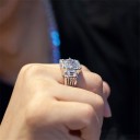 Herrring D1361 5