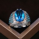 Herrring D1437 3