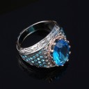 Herrring D1437 4