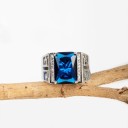 Herrring D1479 3