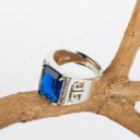 Herrring D1479 4