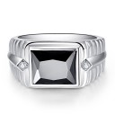 Herrring D1887 4