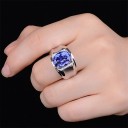 Herrring D1890 4