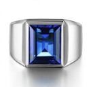 Herrring D2016 2