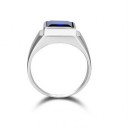 Herrring D2016 3