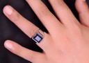 Herrring D2016 4