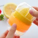 Citruspress i plast C308 4
