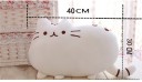 Plysch kattkudde 40 cm J982 11