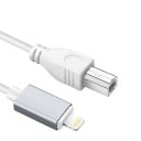 Lightning till USB-B M/M anslutningskabel 1 m 1