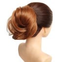Chignon 4