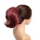 Chignon 6