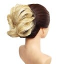 Chignon 20
