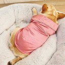 Pyjamas för hundar 6