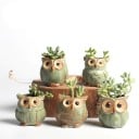 Ensemble de pots de fleurs en forme de hibou 5 pcs 1