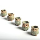 Ensemble de pots de fleurs en forme de hibou 5 pcs 2
