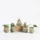 Ensemble de pots de fleurs en forme de hibou 5 pcs 3