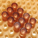 NICOT Queen Bee Breeding System Kit 2