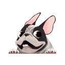 Bulldog bil klistermärke 2