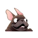 Bulldog bil klistermärke 3
