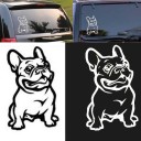 Fransk bulldogg bilklistermärke 3