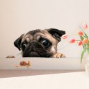 Mops bil klistermärke 4