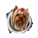 Hundbil klistermärke 1