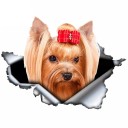 Hundbil klistermärke 4