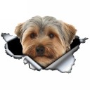 Hundbil klistermärke 6