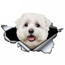 Bildekal hund A1632 3