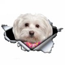 Bildekal hund A1632 4