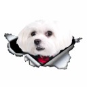 Bildekal hund A1632 5